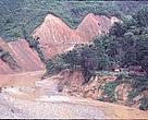 The A'Vuong river and its surrounding region is famous for its rich freshwater and forest biodiversity.