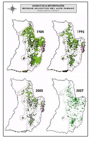 Avance de deforestación en el BAAPA / &copy;: WWF Paraguay