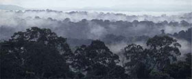 Bacia do Congo / &copy;: WWF
