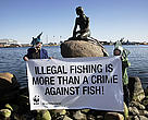 WWF is urging EU fisheries ministers to increase penalties for illegal fishing and trading.