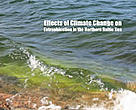 Effects of Climate Change on Eutrophication in the Northern Baltic Sea