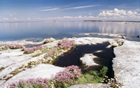 Dragsfard, Baltic Sea, Finland. / ©: WWF-Canon / Mauri Rautkari / ©: WWF-Canon / Mauri Rautkari