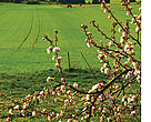 Farmers can make a difference and  help save the Baltic Sea by adopting more sustainable farming practices