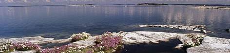 Baltic Sea. Dragsfard, Finland. / ©: Mauri Rautkari / WWF-Canon rel=