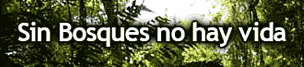 Sin Bosque no hay vida / &copy;: Sin Bosque no hay vida