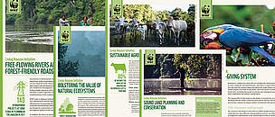 Conozca más sobre el enfoque innovador de conservación que WWF tiene en la Amazonia / ©: WWF Perú / ©: WWF Perú
