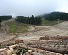 Bansko, in the heart of Pirin National Park in Bulgaria, is a popular ski destination that has become infamous for being the first of  a series of illegal ski developments in Bulgarian  protected areas.