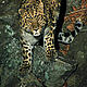 &copy; WWF-Russia / ISUNR