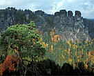 National Park in the "Bavarian Forest", Germany.