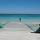 Beach seine fishing: nearly no fish were caught this time © WWF / Dominic Tilley