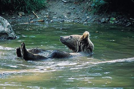  / &copy;: WWF-DCPO
