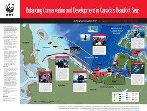 Beaufort poster / &copy;: WWF-Canada