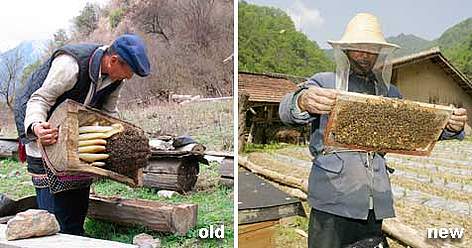New bee keeping method brings more honey and saves forests in panda habitat Left to Right: 1. Xia ... / ©: WWF-Canon / Claire DOOLE, WWF China A change in bee keeping brings more honey and saves forests. rel=