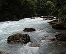 WWF Bhutan/Intervention