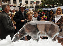 Belgrade - Citizens of Belgrade informing themselves on climate change issues during the caravan ... / ©: WWF DCP / ©: WWF DCP