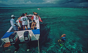 Snorkelers on a tourist boat Hol Chan Marine Reserve, Belize. / ©: Anthony B. Rath / WWF-Canon / ©: Anthony B. Rath / WWF-Canon