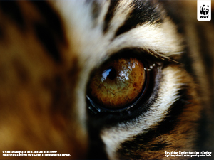  / &copy;: National Geographic Stock / Michael Nicols / WWF