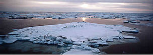 Sea ice beneath midnight sun in June in the Bering Sea. / ©: WWF-Canon / Kevin SCHAFER Sea ice beneath midnight sun in June in the Bering Sea. / ©: WWF-Canon / Kevin SCHAFER