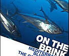 Mediterranean bluefin tuna - the consequences of collapse
