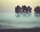 Will natural treasures such as Poland's Biebrza marshes be saved or squandered in the enlarged EU?