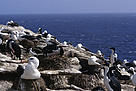  / &copy;: WWF-Canon / Sylvia Rubli