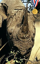  / &copy;: WWF-Canon / Martin HARVEY