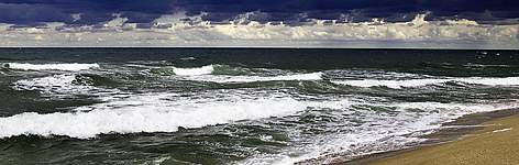 Black Sea coast, Strandja Natural Park, Bulgaria. / ©: Michel GUNTHER / WWF-Canon rel=