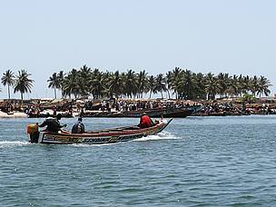 Bustling beachside fish market along the coast south of Joal-Fadiouth / ©: WWF / Sawyer Blazek / ©: WWF / Sawyer Blazek