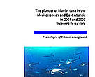 The plunder of bluefin tuna in the Mediterranean and East Atlantic in 2004 and 2005 - Uncovering the real story