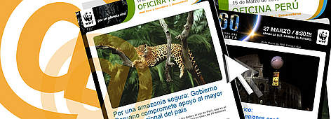 Boletín WWF Perú / ©: WWF Perú / ©: WWF Perú