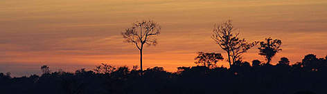Sunrise at Guarayos indigenous communal land, Santa Cruz, Bolivia. / ©: WWF-Canon / Andrés UNTERLADSTAETTER rel=