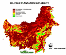  / &copy;: WWF / SarVision Indonesia