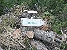 Резултатите от прокарването на нова ски писта в Рила / ©: Vladimir Dimitrov Chopped wood and a waymark in forest / ©: Vladimir Dimitrov