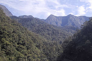 Some 80,000ha of rainforest around Papua New Guinea's Mt Bosavi (2400m) in the Kikoria River Basin ... / ©: WWF Papua New Guinea / ©: WWF Papua New Guinea