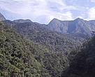 Some 80,000ha of rainforest around Papua New Guinea's Mt Bosavi (2400m) in the Kikoria River Basin have been designated protected areas. Mt Bosavi (seen in the background).