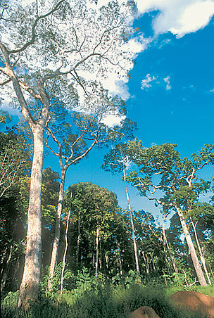  / &copy;: WWF / Eduardo RUIZ