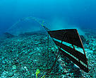 A bottom trawler scrapes the ocean floor destroying the habitat, Baja California, Mexico