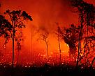 Fires burn in Brazil's Cerrado, a vast savanna that covers nearly 21 per cent of the country's total area. Nearly 60,000 fire outbreaks have been recorded in the five months to September 2010. Mato Grosso, Brazil. 