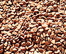 Brazil nuts.