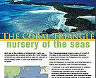 Coral Triangle Brochure Cover