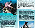 Bismarck Solomon Seas Ecoregion: Fact Sheet