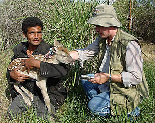 After bringing up bukhara deer, WWF releases them in areas where they became extinct. / ©: WWF-Russia / ©: WWF-Russia