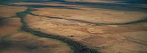 The impacts of El Niño can be felt form India to Australia to the Amazon. Here in Roraima State, ... / ©: WWF-Canon / Nigel DICKINSON El Nino. Amazon, Roraima State. Natural Savannah burnt during severe drought and forest fires. ... / ©: WWF-Canon / Nigel DICKINSON