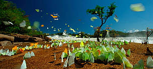 Butterflies near the Augusto Falls, Juruena National Park, Brazil.
The world's incredible ... / ©: WWF / Zig KOCH / ©: WWF / Zig KOCH