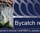 Bycatch reduction - A cooperation with fishermen to eliminate wasteful practices that threaten marine life.