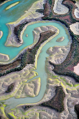 Aerial view of marshes with seaweed exposed at low tide, Bahia de Cadiz Natural Park, Cadiz, ... / ©: Wild Wonders of Europe /Diego Lopez / WWF / ©: Wild Wonders of Europe /Diego Lopez / WWF