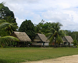 Thatched houses with forest backdrop
