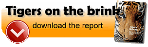 Download Tigers on the Brink report (3.1 Mb) / ©: WWF / ©: WWF