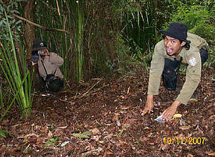 Camera trap operators caught in their own trap during camera installation in Kerumutan, Sumatra, ... / ©: WWF-Tesso Nilo Prog. Camera trap installment in Kerumutan, Sumatra, Indonesia. / ©: WWF-Tesso Nilo Prog.