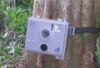 Camera trap.